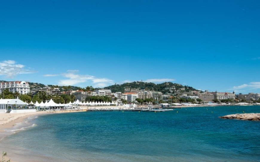 Don’t Miss Any of IndieWire’s Cannes Programming — American Pavilion Memberships Go on Sale This Week