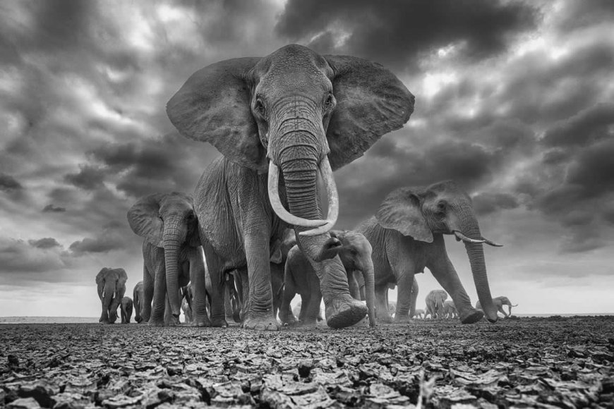 Capturing the Global Spirit: Powerful Photos From This Year’s HIPA Awards