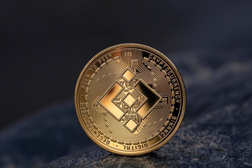 Binance Coin (BNB) Price Rally Fueled by Stablecoin Transaction Dominance
