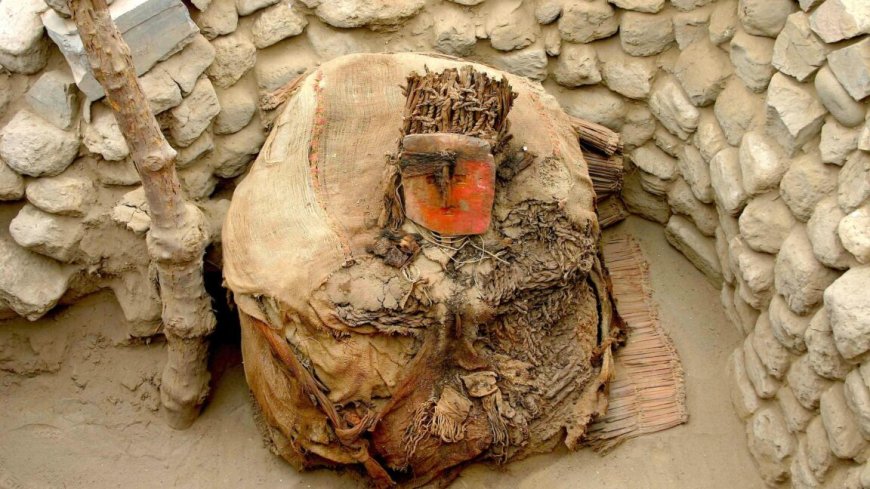 Centuries before the Inca, Peru's wealthy imported parrots from afar