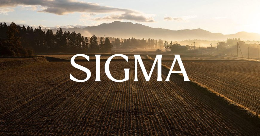 Sigma’s New Rice Company Is Less About Rice and More About Aizu