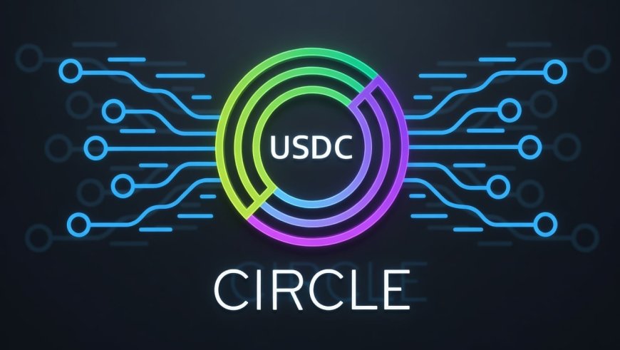 USDC Overtakes USDT in Transaction Volume Since 2019 Milestone