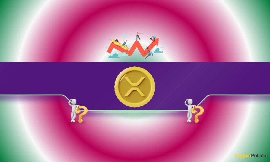 Is XRP Basically a Bank Wearing a Hoodie? Analysts Clash Over Ripple’s True Role