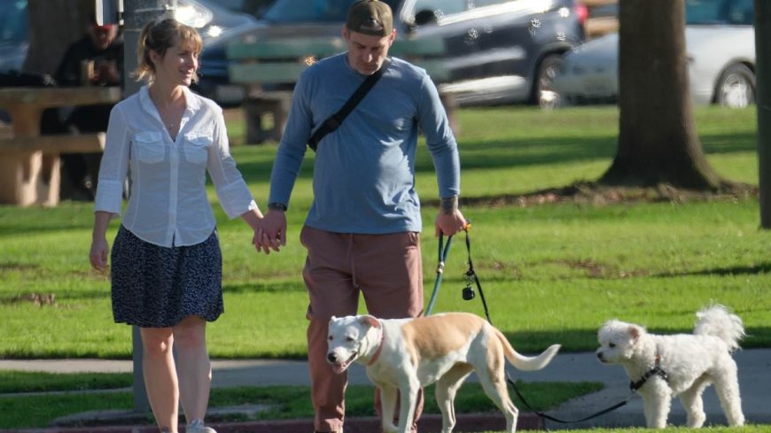 Disgraced Smallville star Allison Mack spotted for first time with ex-neo-Nazi husband as they walk their dogs