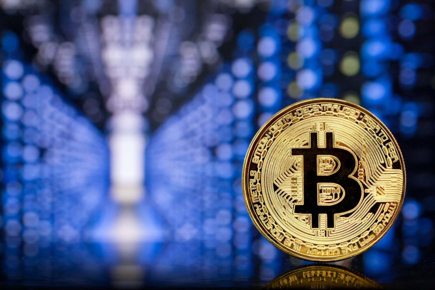 Bitcoin Whale Activity Hits Six-Year High as Retail Participation Stays Near Cycle Lows