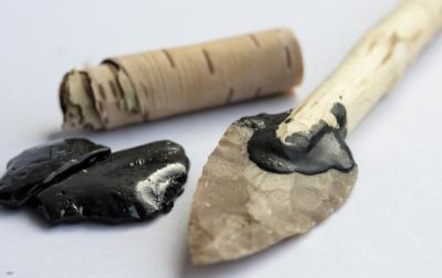 Never mind Band-Aids, Neanderthals had antiseptic birch tar