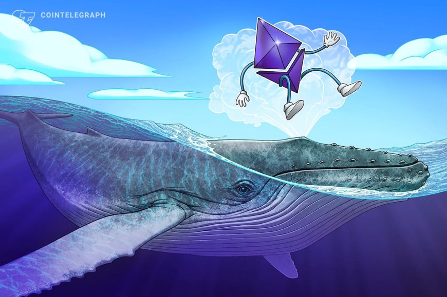 Early Ethereum whale rebuilds stack with $19.5M in ETH buys