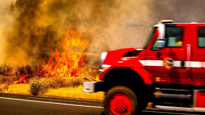Study says roads bring more fires to forests; USDA wants more roads to fight fires