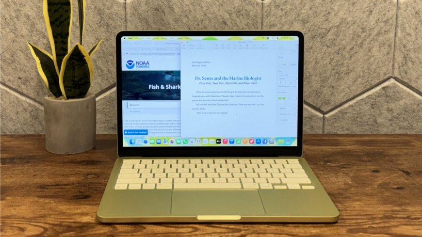 MacBook Neo mods include copper and liquid cooling — temps drop and boost performance by up to 18%