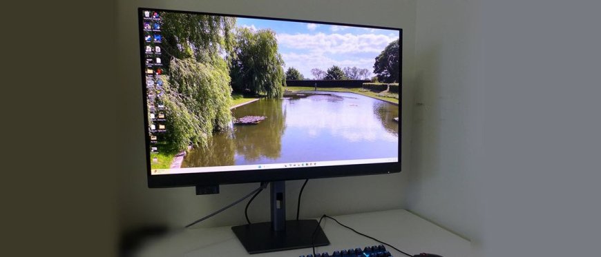 Dell UltraSharp U3226Q 4K 32-inch QD-OLED monitor review: Pro-grade with reference-level color