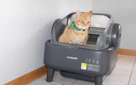 Oneisall Ease S1 review: Finally, a smart litter box that doesn't cost an arm and a paw