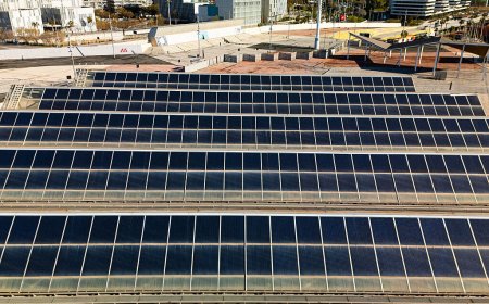 Renewables dominate 2025's newly installed generating capacity
