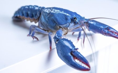 OpenClaw gives users yet another reason to be freaked out about security