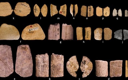 Ice Age dice show early Native Americans may have understood probability