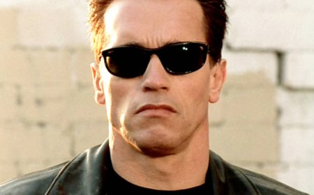 Arnold Schwarzenegger’s 10 Highest-Grossing Movies