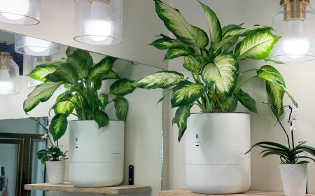 I let a smart planter maintain itself while I was away for 2 months - here's the result