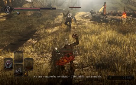 Player defeats Darks Souls II using only poop — 42 hits of dung pie defeats the final boss