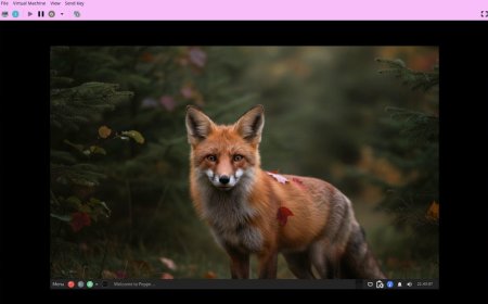 I tried Peppermint Linux: How this bare-bones distro lets you build your ideal OS