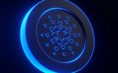 Charles Hoskinson Defends Cardano Midnight Bridge Plan