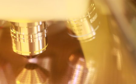 China intensifies efforts to poach semiconductor talent from Taiwan, claims report — international restrictions motivate illicit efforts to obtain talent and equipment