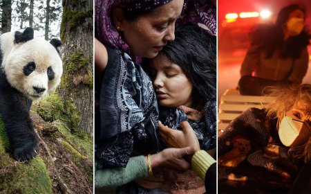 Over 70 Powerful Winners From the 2026 World Press Photo Contest