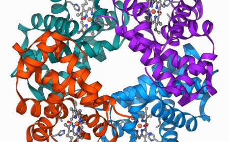Clinical trial shows gene editing works for β-Thalassaemia, too