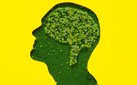 AI on the couch: Anthropic gives Claude 20 hours of psychiatry