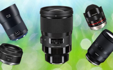 Spring Lens Deals: Save Big on Lenses for Portraits, Wildlife, Macro, and More