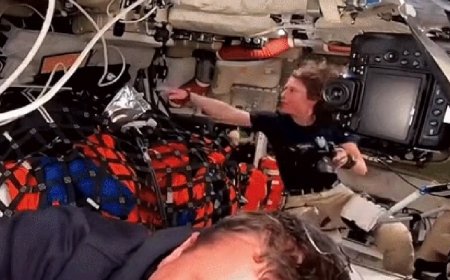 In space, no one can hear your storage card scream