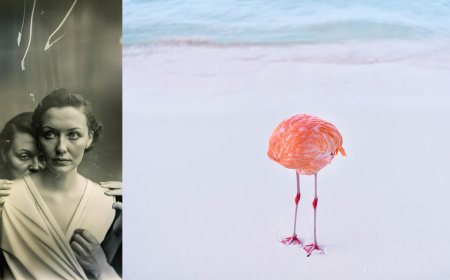 A Necessary Critique of Fontcuberta’s Algorithmic Photography