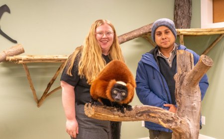 Forget Dr Doolittle, study finds animals might not only want to use tech, but they also want to talk to us with it — and it could be 'incredibly powerful for the future of conservation'