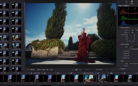 DaVinci Resolve 21 is Now a Lightroom Alternative: RAW Editing, Tethering, Masking, and More