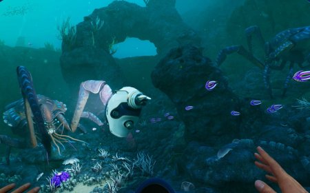 Krafton are no longer listed as Subnautica 2's publishers on Steam and the Epic store, following a quiet switch