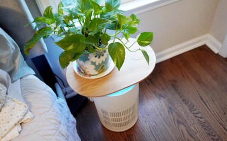 How my smart home became my best defense against brutal spring allergies - and pollen