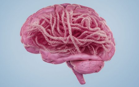 What’s the deal with Alzheimer’s disease and amyloid?