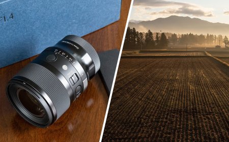 How Sigma is quietly saving Japanese ecosystems by farming rice
