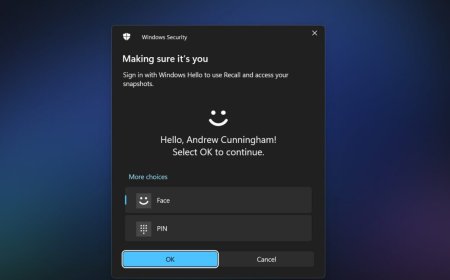 "TotalRecall Reloaded" tool finds a side entrance to Windows 11's Recall database