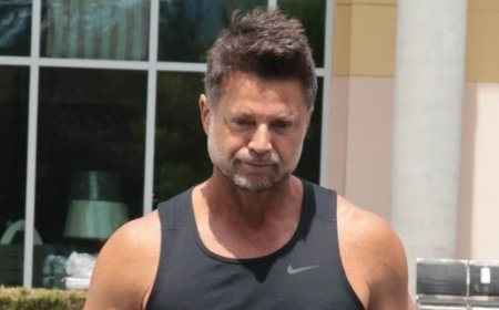 Baywatch star David Charvet pictured after accidentally killing dog with his truck as he breaks silence on horror collision