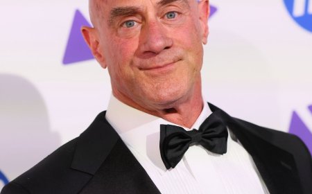 Christopher Meloni Reacts to Law & Order: Organized Crime Cancellation