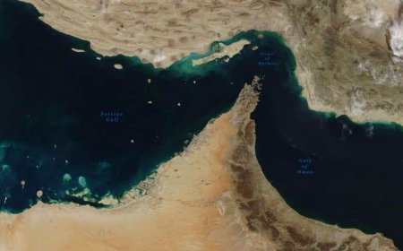 Strait of Hormuz ship traffic drops amid security concerns
