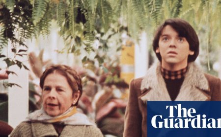 ‘It’s about finding light in the dark’: why Harold and Maude is my feelgood movie