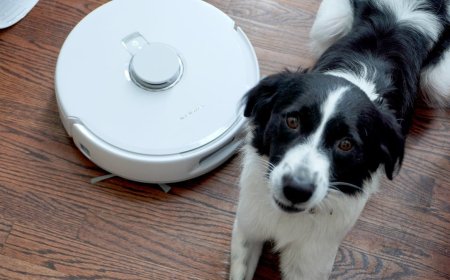 The best robot vacuums for pet hair for 2026: Expert and lab tested