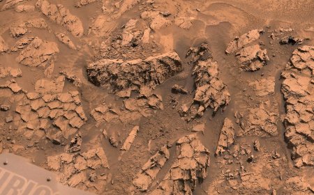 Mars Curiosity Rover Captures Photos of Rocks That Look Like Dragon Scales