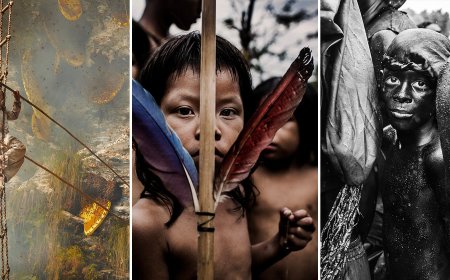 Celebrated Photographer Steve McCurry Picked the Winners of This Photo Contest
