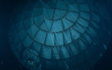 Haunting NASA Photo Shows Artemis II Heat Shield in the Ocean