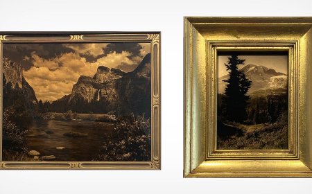These Beautiful Golden Photo Prints Fell Out of Favor Over a Century Ago