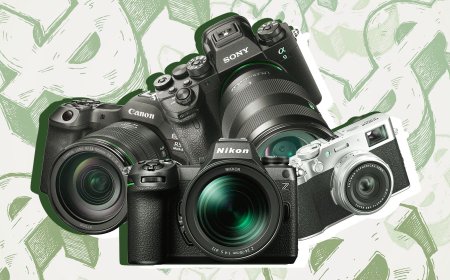 Camera Makers Should Share Tariff Refunds With Customers