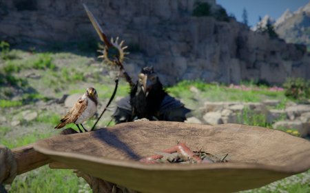 How to get the Sotdae of Bond and tame bird pets in Crimson Desert