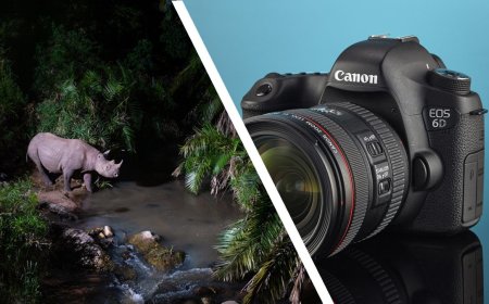 'I snap them up' — award-winning wildlife photographer explains why he collects second-hand DSLRs for his unique 'Camtraptions' devices, and why they are a better choice over modern mirrorless cameras