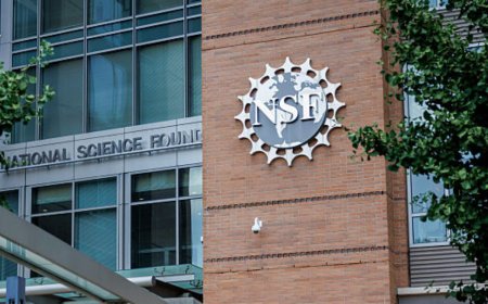 National Science Board eviscerated; Trump admin fires all 22 members